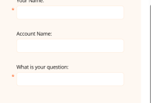 ProvideSupport客服系统：如何询前表单设置教程-Provide Support在线客服系统-在线实时翻译|自定义域名防劫持