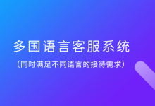 多语言网站在线客服服务软件：功能解析与推荐-Provide Support在线客服系统-在线实时翻译|自定义域名防劫持